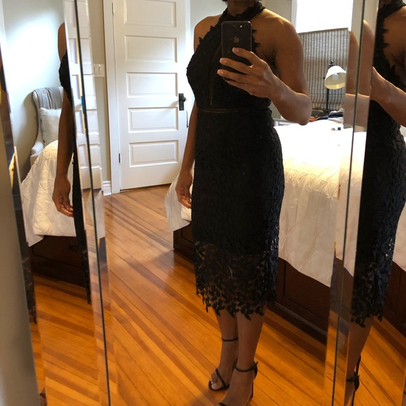 Bardot Gemma Halter Lace Sheath Dress - Picture 8 of 12